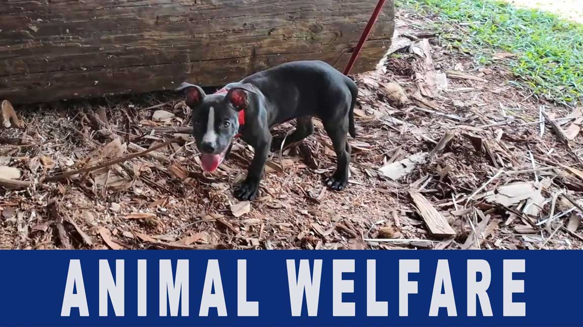 KSPN2 News March 20, 2026